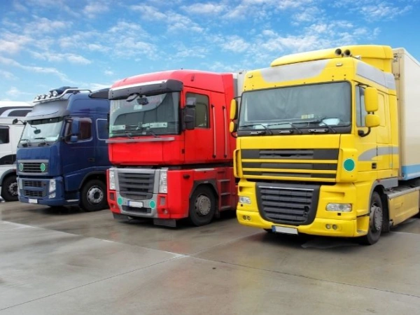 Bursa Sürmene Nakliye